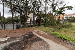 Image 8 - 922922