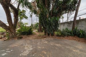 Image 36 - 922922