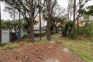 Image 32 - 922922