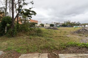 Image 4 - 922922