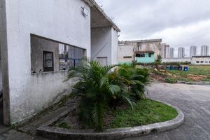 Image 74 - 922922