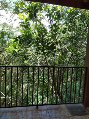Image 19 - 922931
