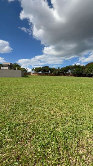 Image 15 - 922933