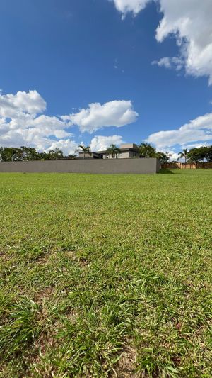 Image 16 - 922933