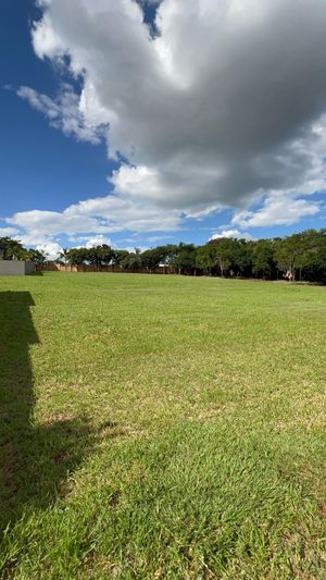 Image 9 - 922933