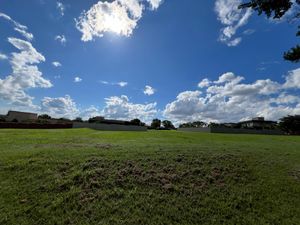 Image 3 - 922933