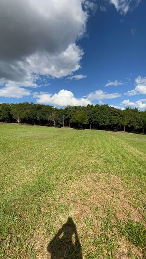 Image 7 - 922933