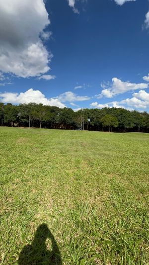 Image 19 - 922933