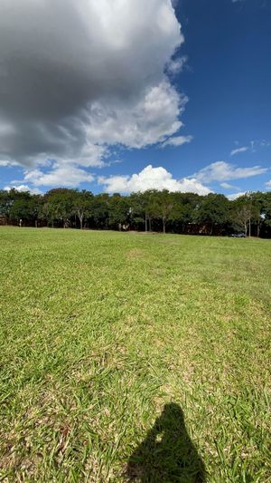 Image 18 - 922933