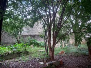 Image 6 - 922950