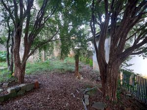 Image 18 - 922950