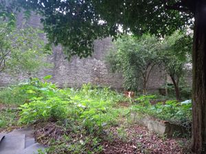 Image 23 - 922950