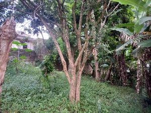 Image 1 - 922950