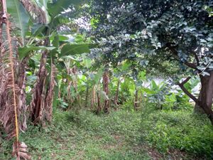 Image 11 - 922950