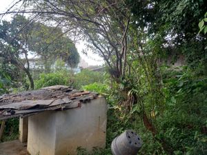 Image 8 - 922950