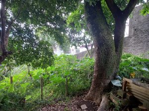 Image 26 - 922950