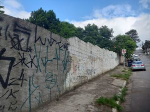 Image 33 - 922950