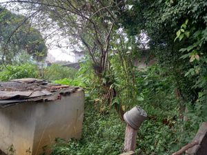 Image 12 - 922950