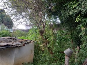 Image 44 - 922950