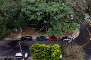 Image 13 - 922954