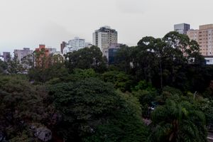 Image 15 - 922954