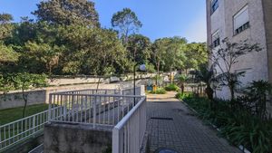 Image 31 - 922976