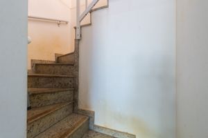 Image 41 - 923017