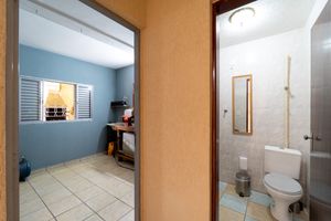 Image 38 - 923019