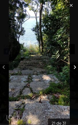 Image 10 - 923039