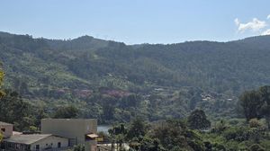 Image 43 - 923170
