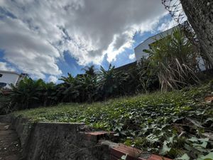 Image 19 - 923187
