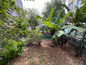Image 12 - 923189