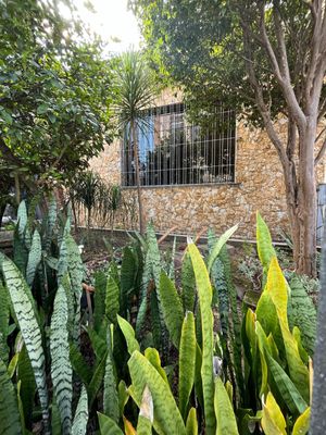 Image 18 - 923189