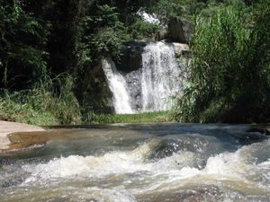 Image 0 - 923243