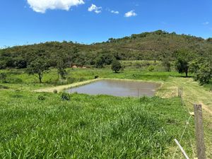Image 5 - 923243