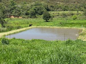 Image 6 - 923243
