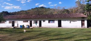 Image 15 - 923243