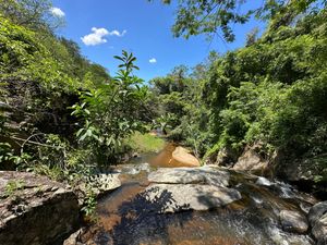 Image 18 - 923243