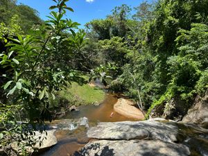 Image 19 - 923243