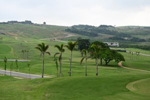 Image 8 - 923260