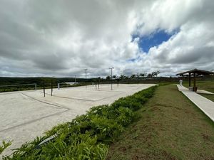 Image 19 - 923260