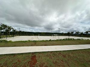 Image 21 - 923260