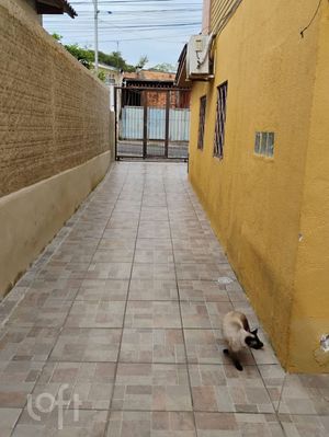 Image 15 - 923262