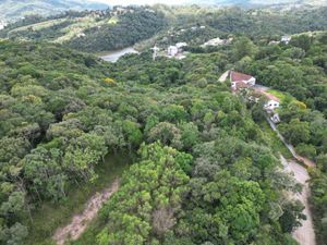 Image 29 - 923342