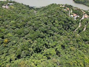 Image 14 - 923342