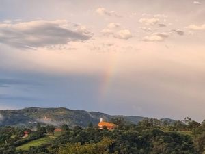 Image 13 - 923342