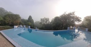 Image 10 - 923342