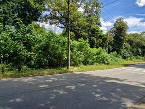 Image 5 - 923356