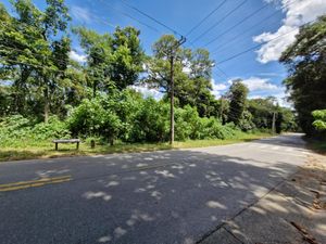 Image 2 - 923356