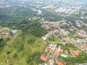 Image 5 - 923363